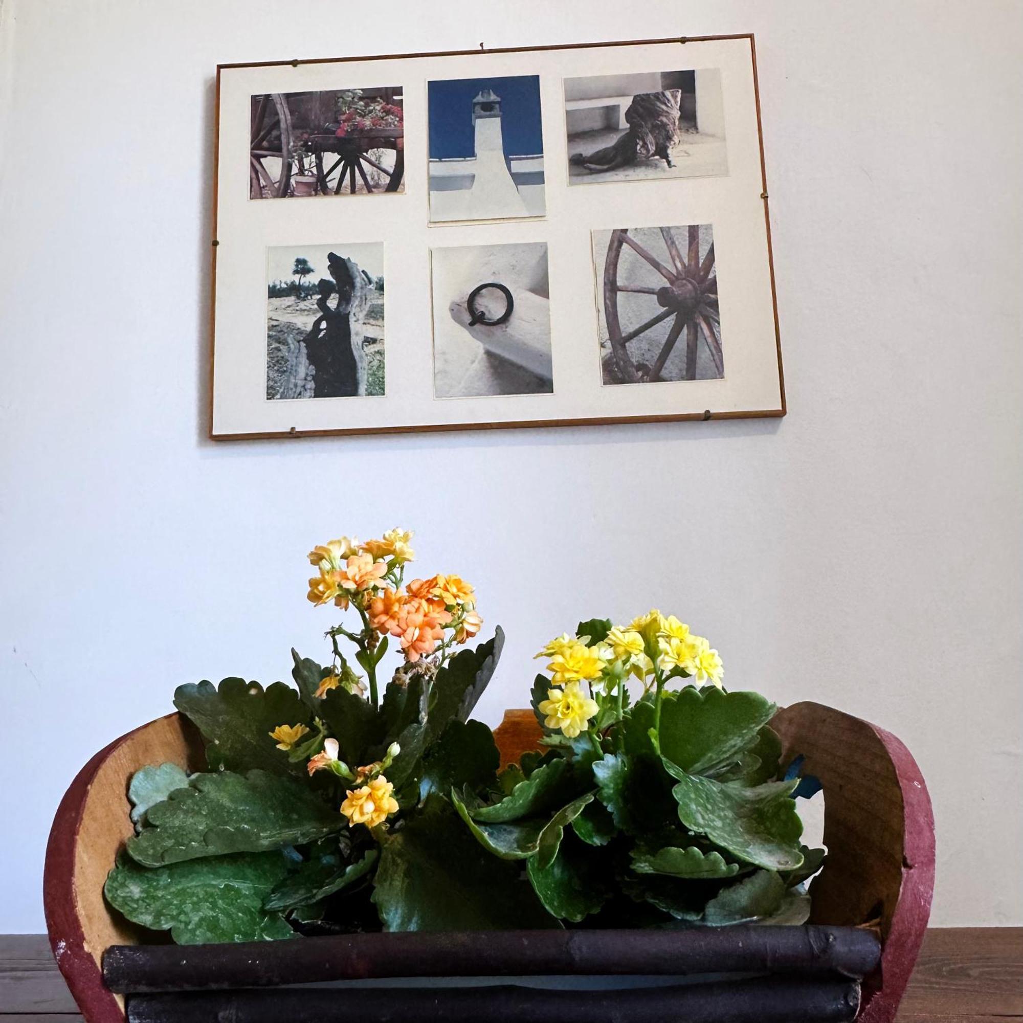 Ferienwohnung Il Sentiero Bari Exterior foto